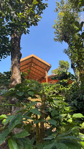 Coorg hill view stay - Image 1
