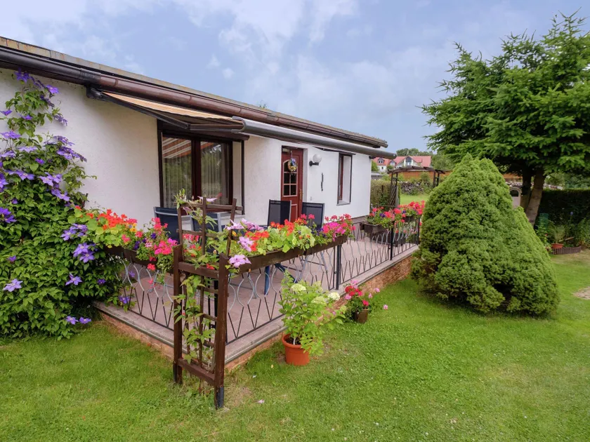 Cozy Holiday Home in Hasselfelde with Private Terrace - Image 1