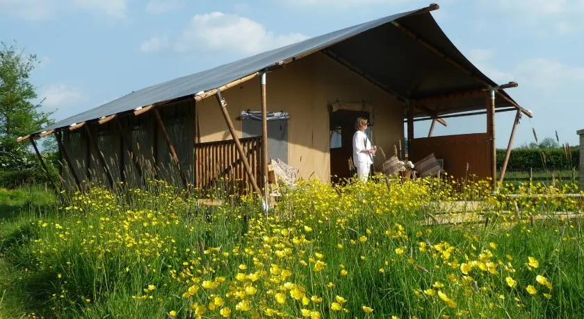 Tall Trees Glamping - Image 1