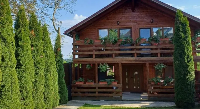 Casa Gherman - Image 1