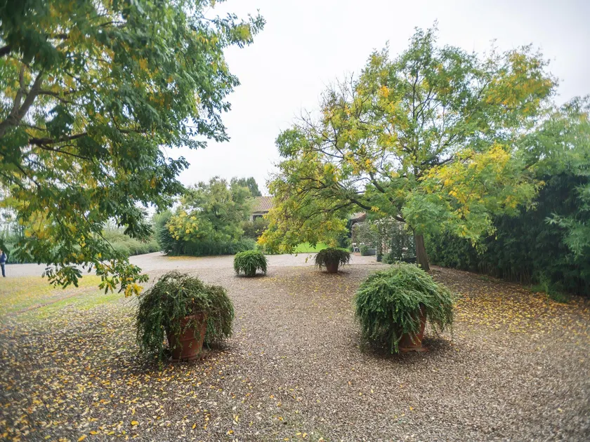 Villa in Lombardia vicino al fiume Po - Image 1