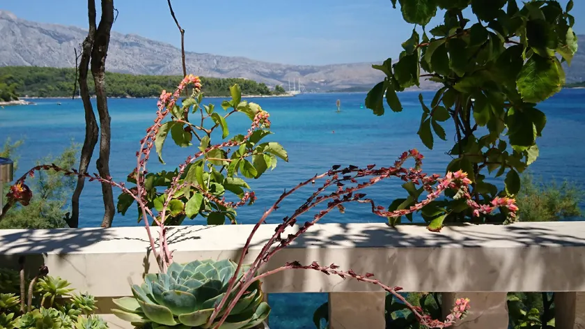 Romantic accommodation for 2 persons direct on sea - Image 1
