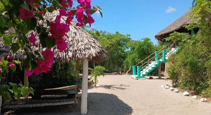 Mida Creek Eco Camp - Image 1
