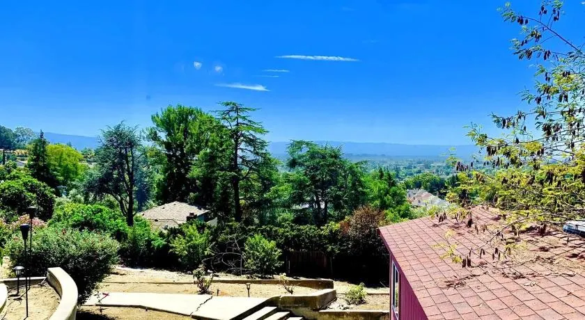 Views on the Hill - Image 1