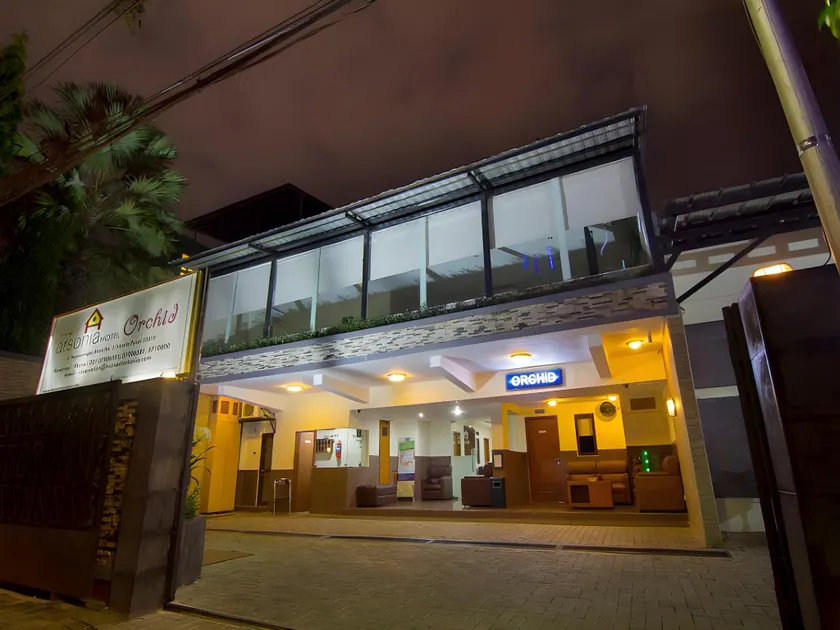 House of Arsonia Orchid - Image 1