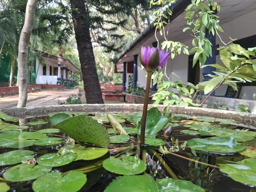 Nature Lodge - Image 1