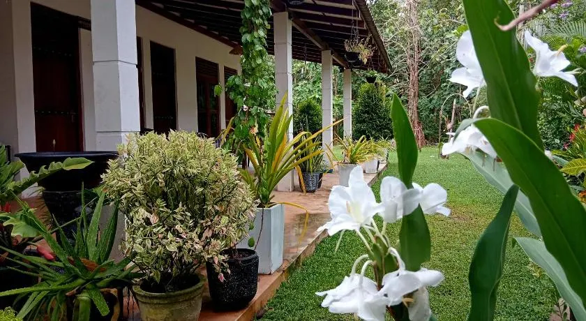 Cashew Villa Hiriketiya - Image 1