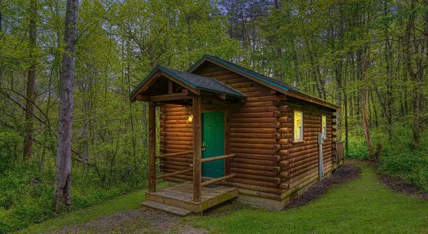 Cabine-Salle de bain privée-Standard-Cozy Cabin - Image 1