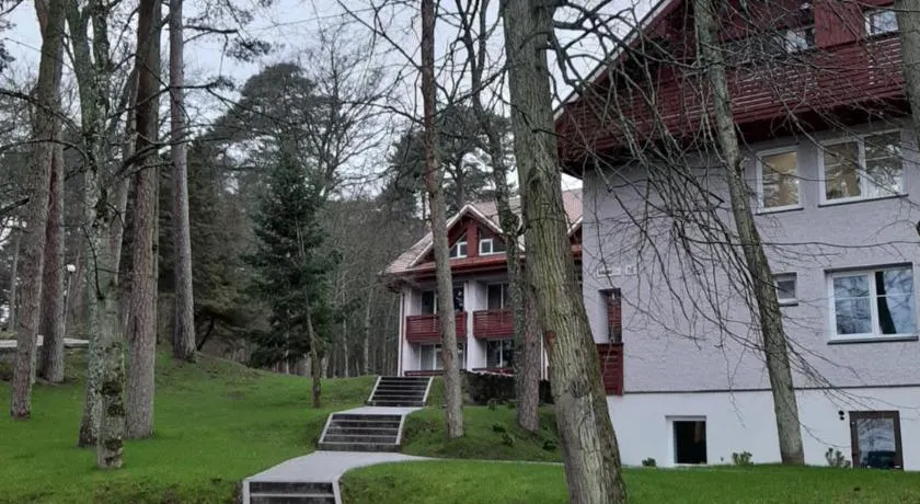 Kalno namai - apartamentas Juodkrantėje - Image 1