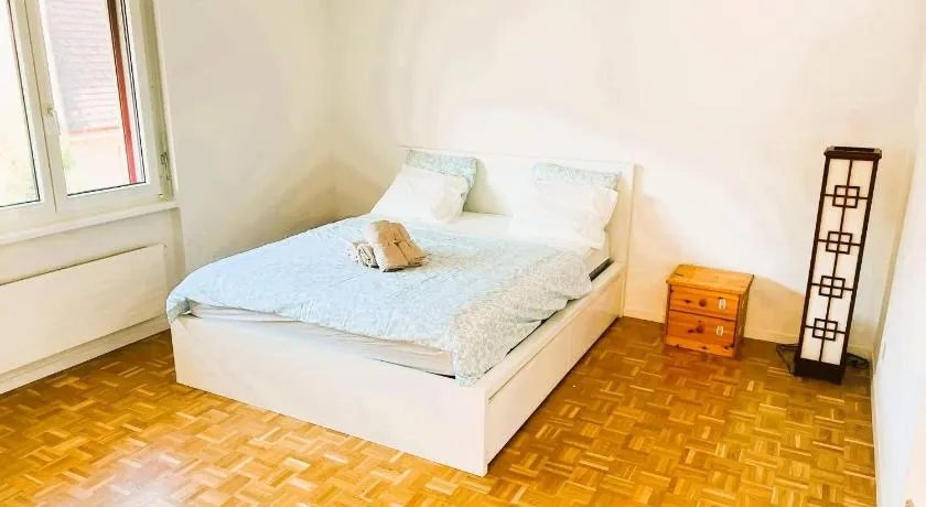 Large Flat with Balcony in Zurich, Kars - Image 1