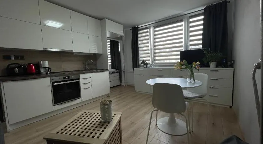 Studio Prosek - Image 1