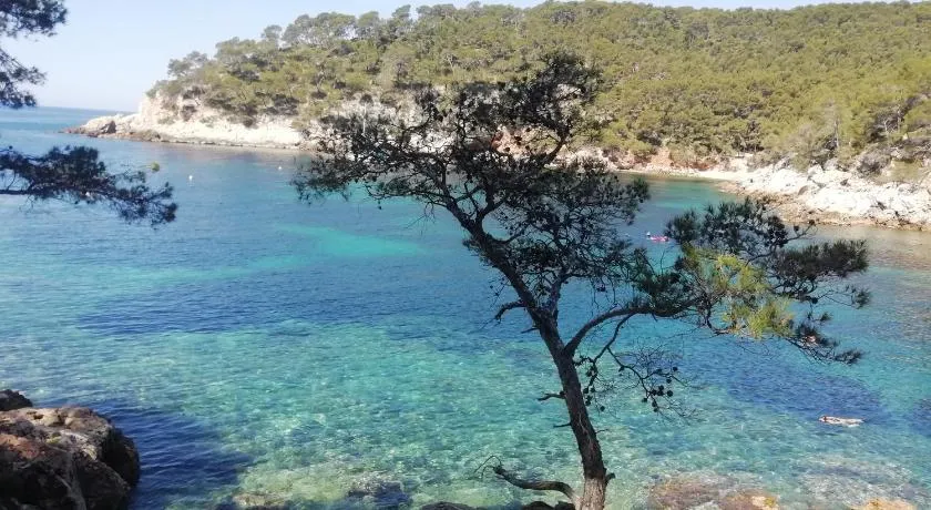 Petit coin de paradis. - Image 1