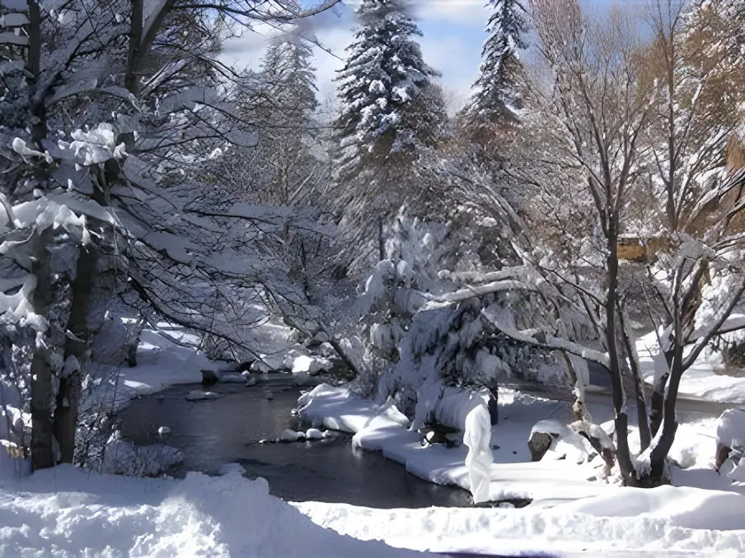 HIGHLAND HAVEN CREEKSIDE INN - BED AND BREAKFAST - Image 1