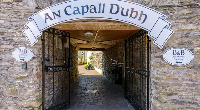 An Capall Dubh B&B Dingle - Image 1