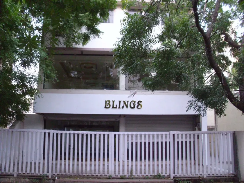 BLINGS - Image 1