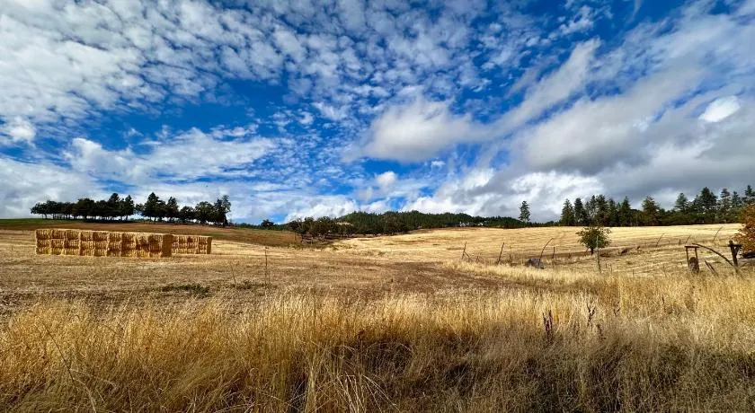 Farmhouse + RV - Sunset Pergola - Fire Pit - Views - Image 1
