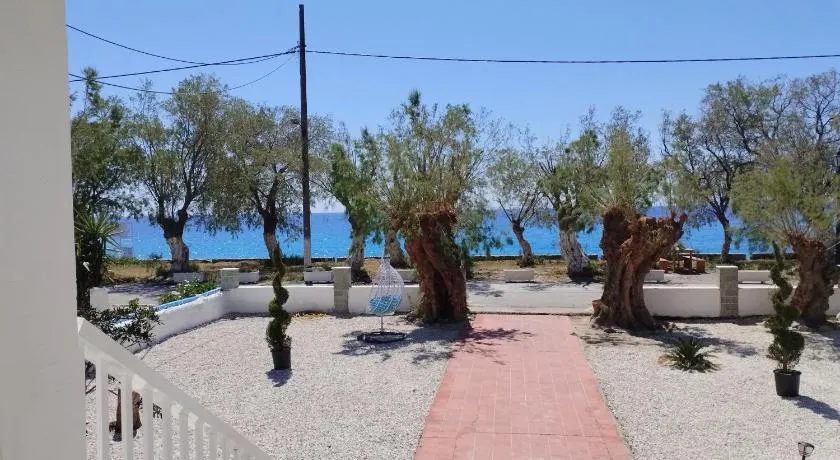 Zorbas - Image 1