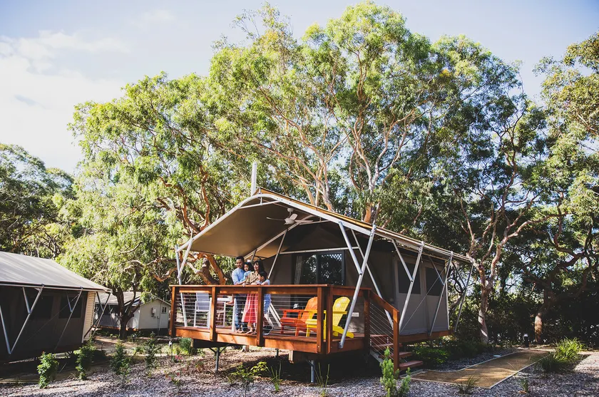 Port Stephens Koala Sanctuary - Image 1