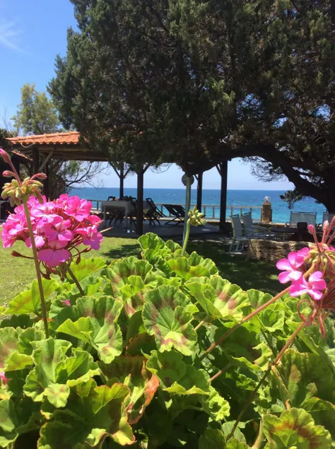 Genari Beach Apartments -Family sea view apartment - Image 1