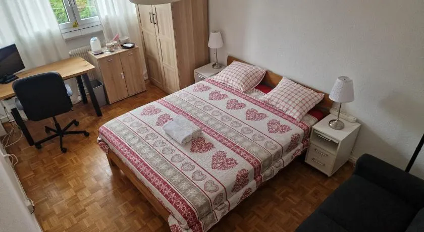 Room in Shared Apartment Geneva - Image 1