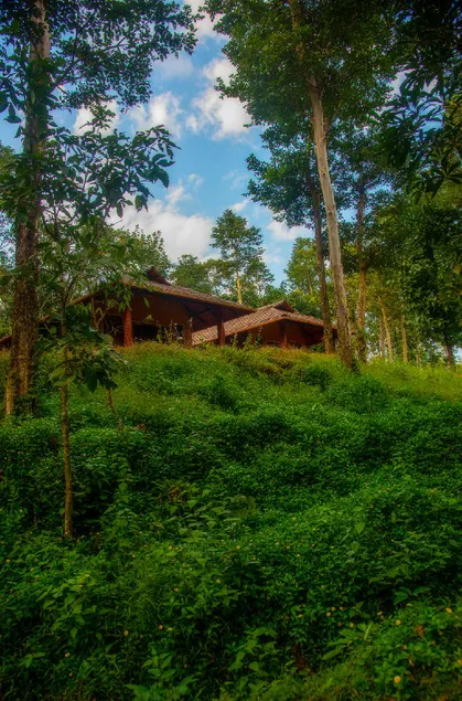 Simha farms - Image 1