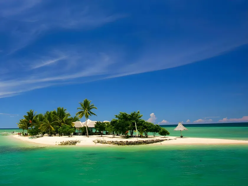 Dos Palmas Island Resort and Spa - Image 1