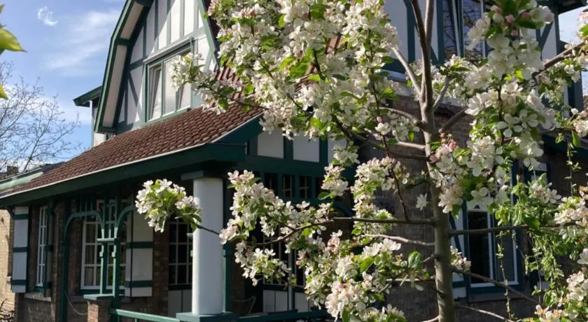 Tree & B - Image 1