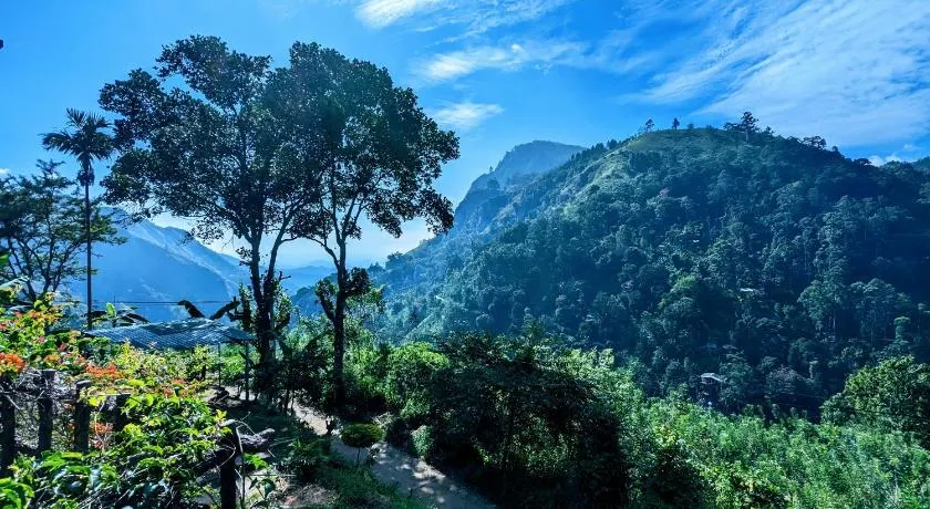 Lavendra Paradise - Image 1