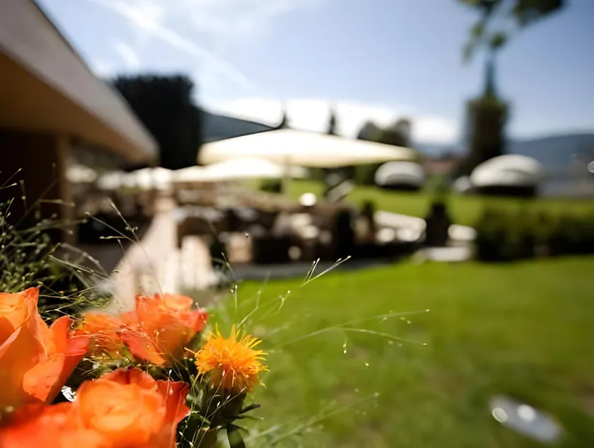 Rosenalp - Gesundheitsresort & Spa - Image 1