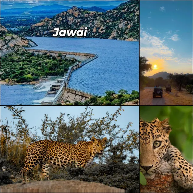 JALSA Homestay - Image 1