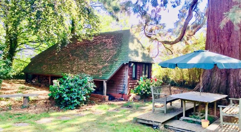 Woodland Chalet at Otters Green - Image 1