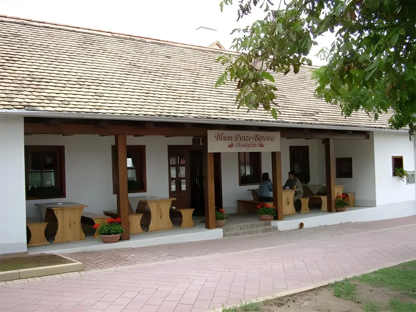 Blum Pince - Borozó Vendégház - Image 1