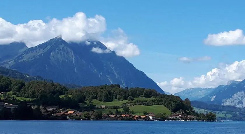 Berner Oberland Am Thunersee - Image 1