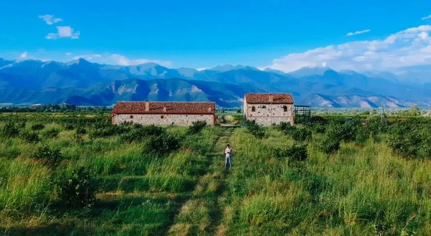 Mestvireni - Image 1