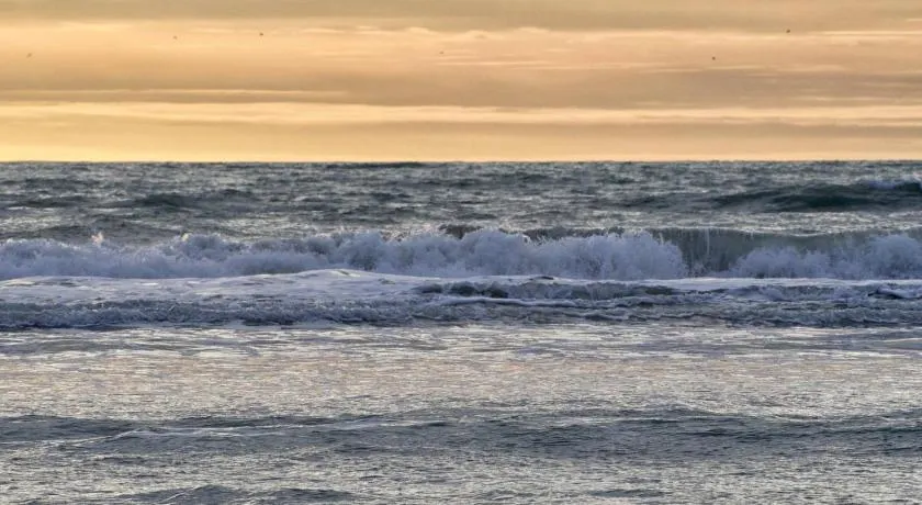 Stella le Touquet Berck T2 - Image 1