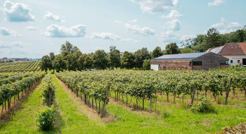 Nussböckgut - Winzerhof mit gratis Parkplatz - Image 1