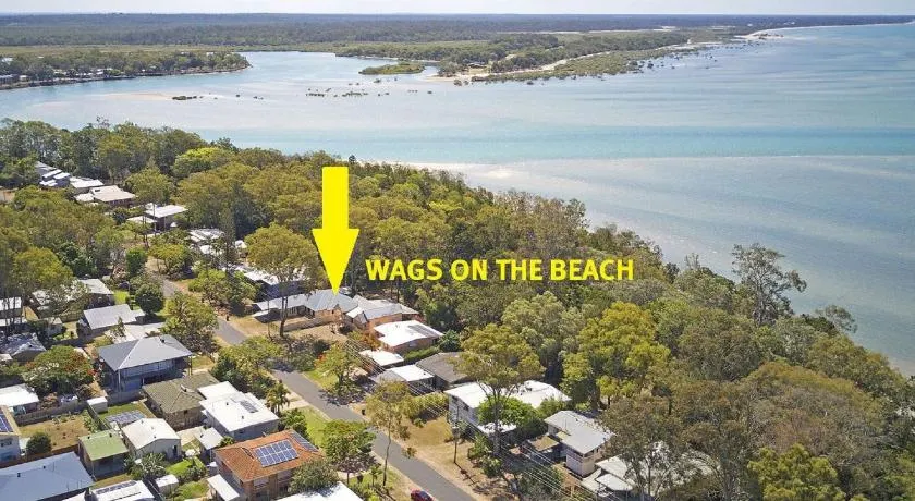 Wags sur la plage - Toogoom - Image 1