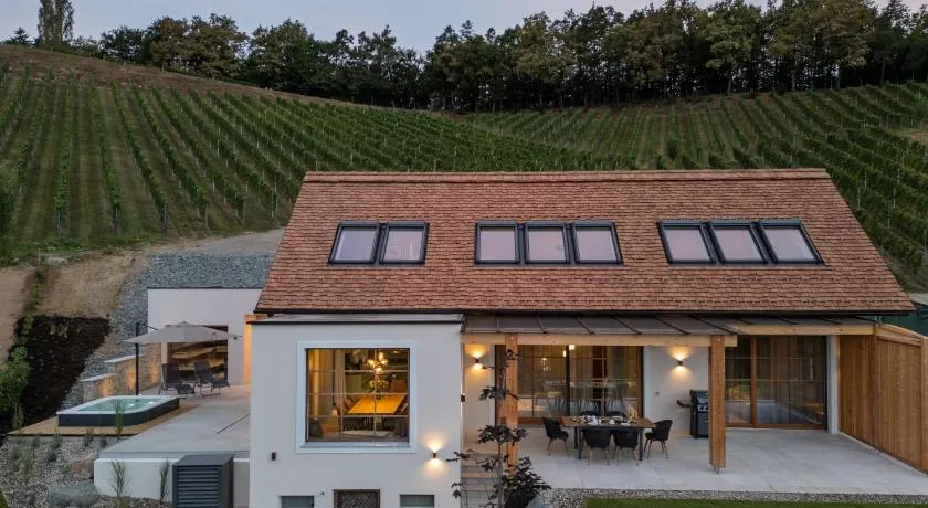 steiRerBLiCke - Domaine Sernau Sauvignon - Image 1