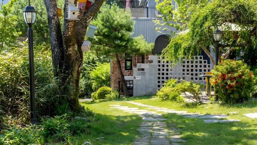Yangyang Little Forest Pension - Image 1