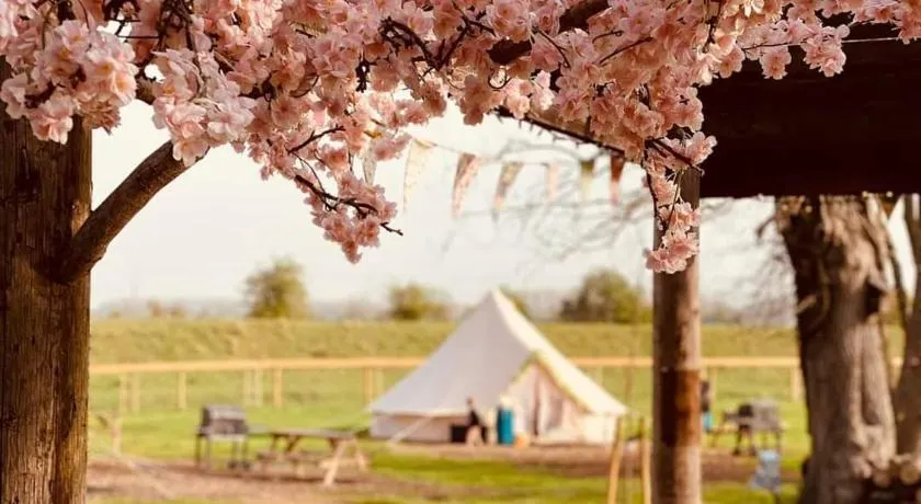 Willow Grove Farm Glamping - Image 1