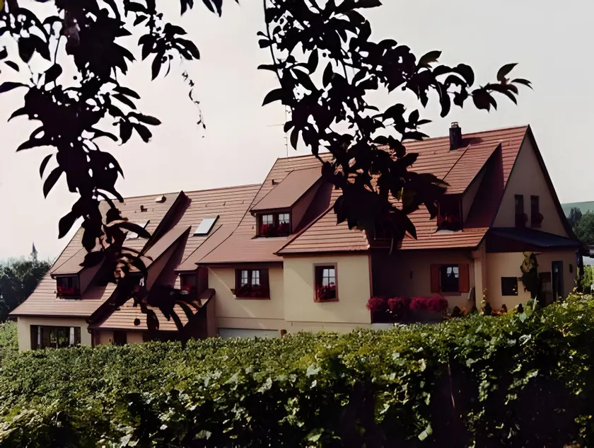 James Vignoble Hôtel, Eguisheim - Image 1