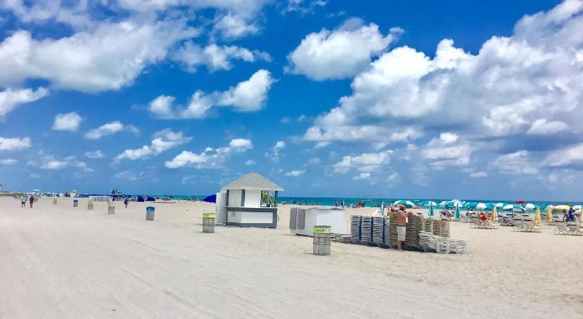 Ocean Walk by Miami Ambassadors - Image 1