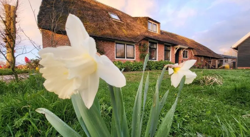 B&B Koe en Kussen - Image 1