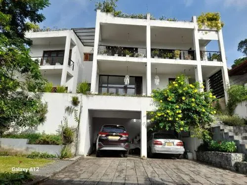 The Pinnacle Life - Image 1