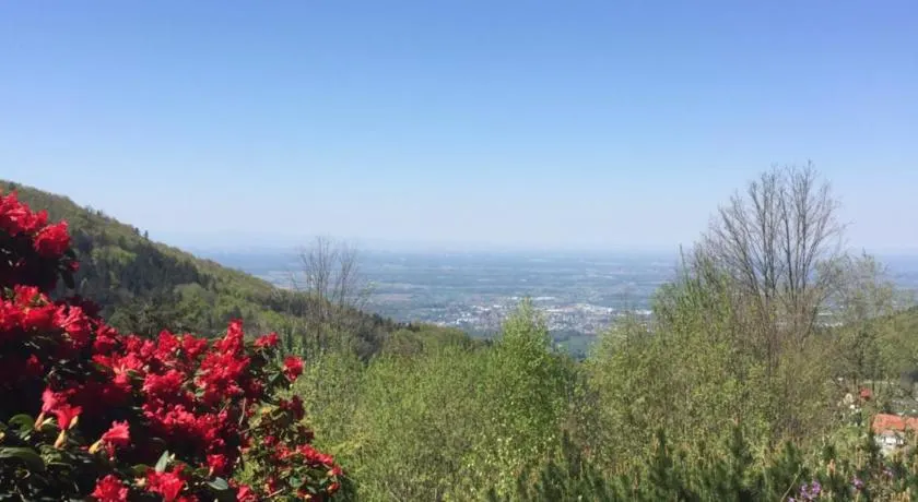 On the hill - Image 1