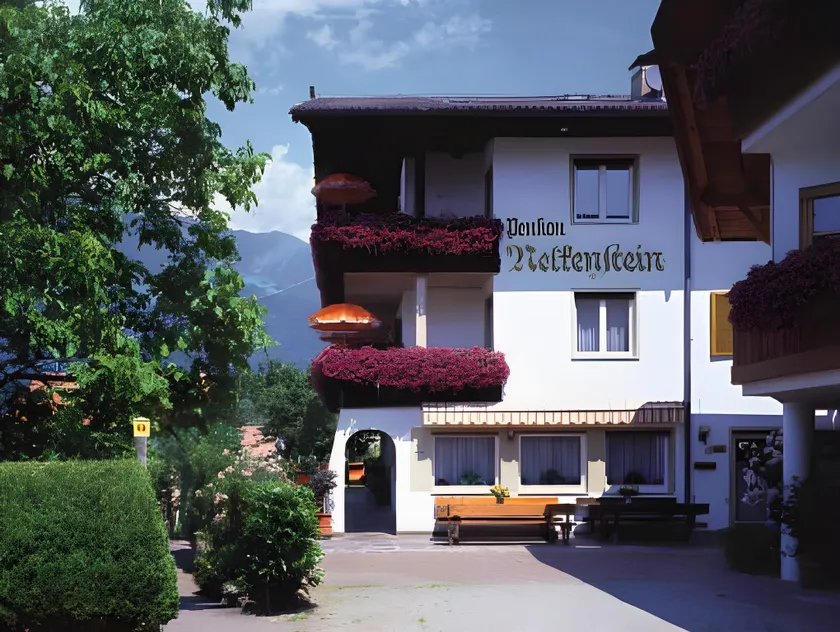 Residence Apartment Nelkenstein - Image 1