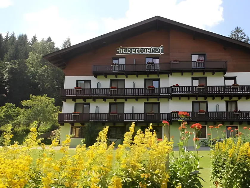 Pension Hubertushof beim Römerbad - Image 1