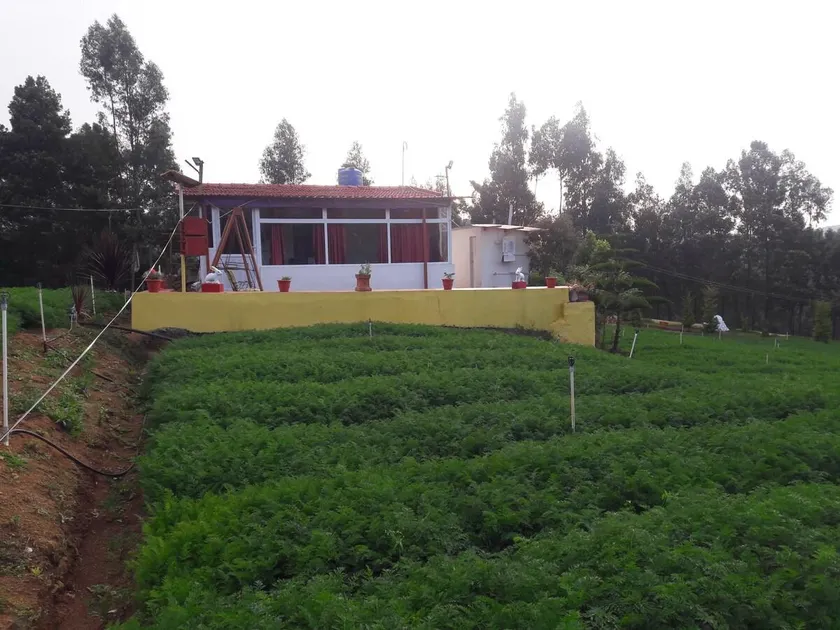 Joni farm house in Ooty - Image 1
