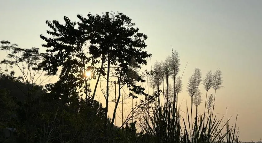 Teplong The Paix, Kaziranga National Park - Image 1
