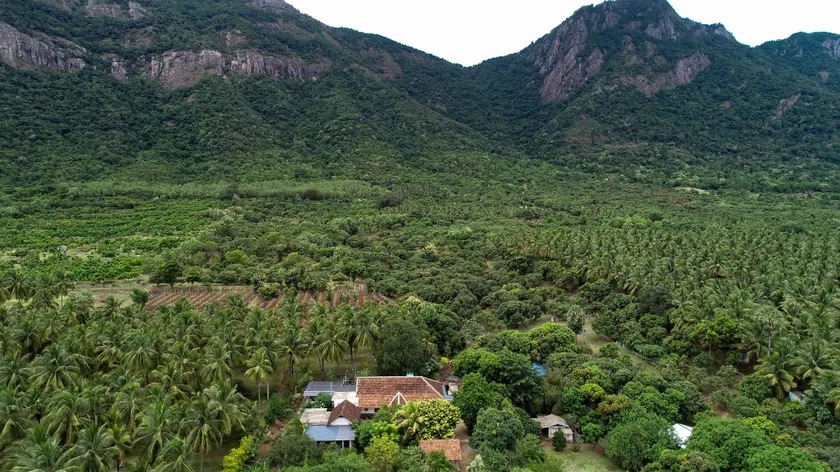 Pannadikadu Homestay - Image 1